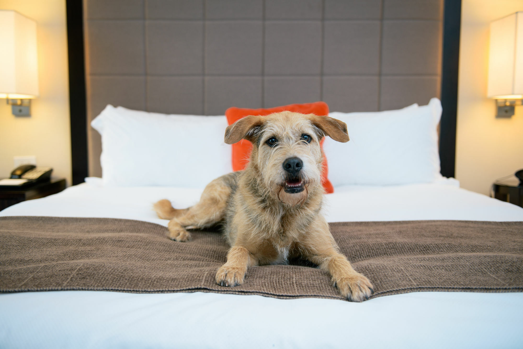 Candlewood Suites Charleston-Northwoods By Ihg Норт Чарлстън Екстериор снимка